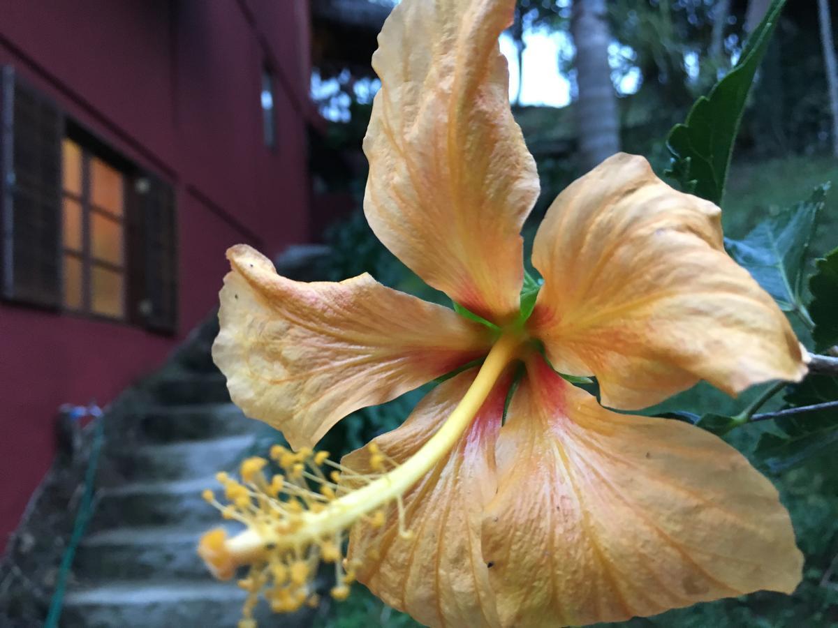 Pousada Casa De Maua 维奥康德马奥 外观 照片
